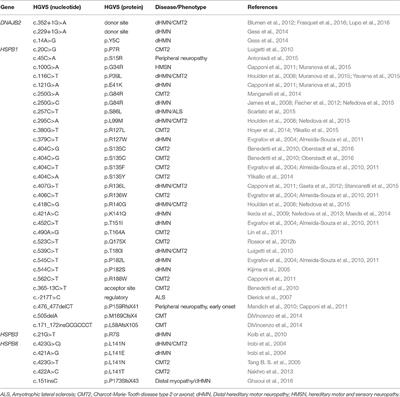 Chaperonopathies: Spotlight on Hereditary Motor Neuropathies